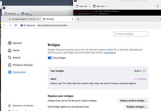 Screenshot of Tor Browser running on ALT Linux 11.3 Workstation K. Tor browser shows its configuration screen with Bridges configured to use obfs4 bridges. Another background tab shows check.torproject.org webpage title, meaning it successfully connected to Tor network.
