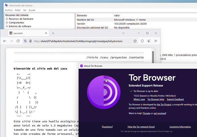 win11tb1003
